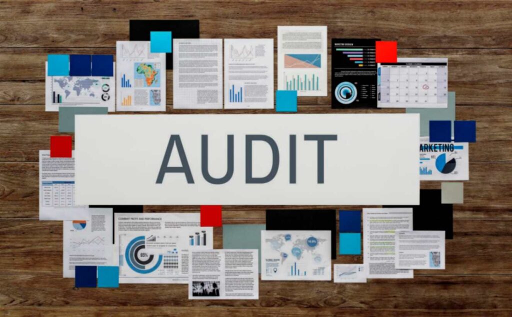 link audit
